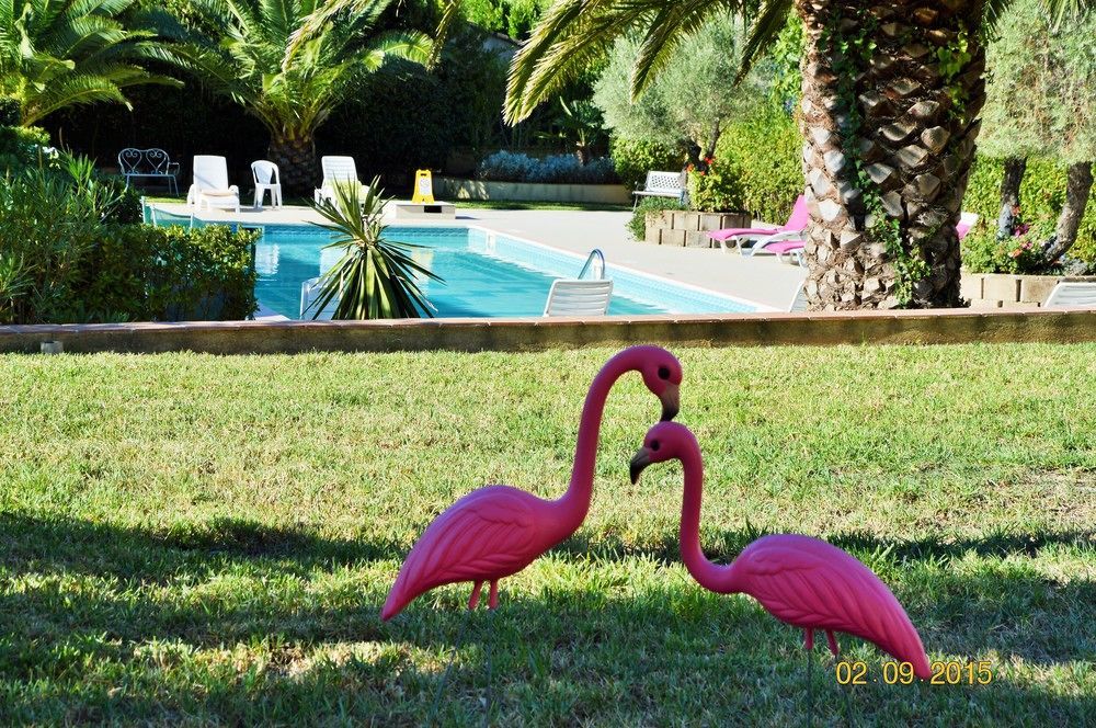 Villa Les 4 Saisons Saint Tropez Εξωτερικό φωτογραφία